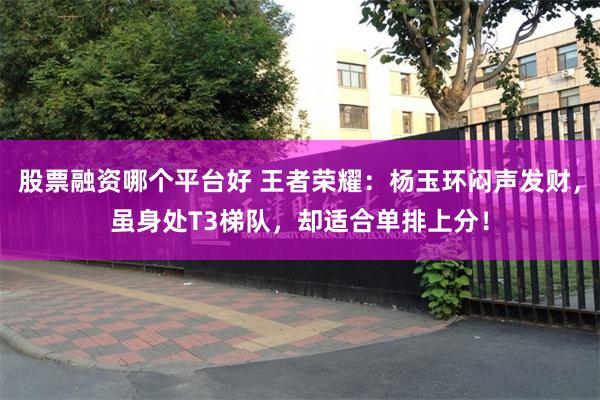 股票融资哪个平台好 王者荣耀：杨玉环闷声发财，虽身处T3梯队，却适合单排上分！