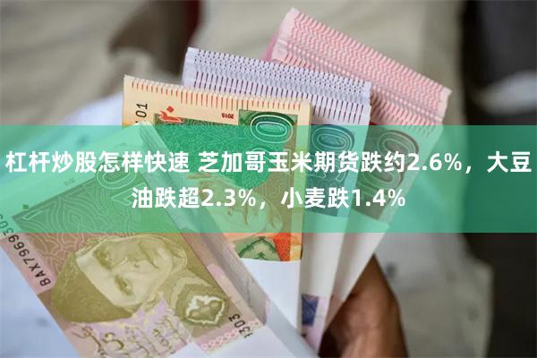 杠杆炒股怎样快速 芝加哥玉米期货跌约2.6%，大豆油跌超2.3%，小麦跌1.4%