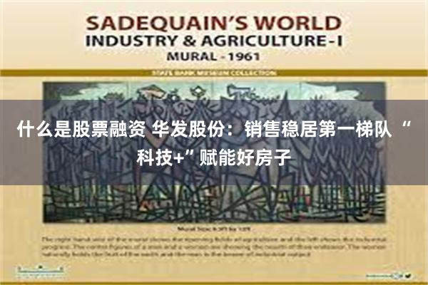 什么是股票融资 华发股份：销售稳居第一梯队 “科技+”赋能好房子