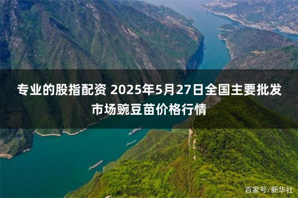 专业的股指配资 2025年5月27日全国主要批发市场豌豆苗价格行情