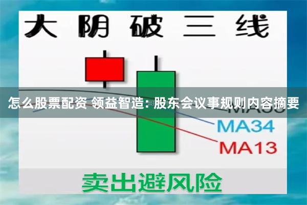 怎么股票配资 领益智造: 股东会议事规则内容摘要