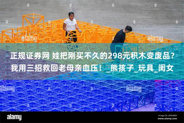 正规证券网 娃把刚买不久的298元积木变废品？我用三招救回老母亲血压！_熊孩子_玩具_闺女